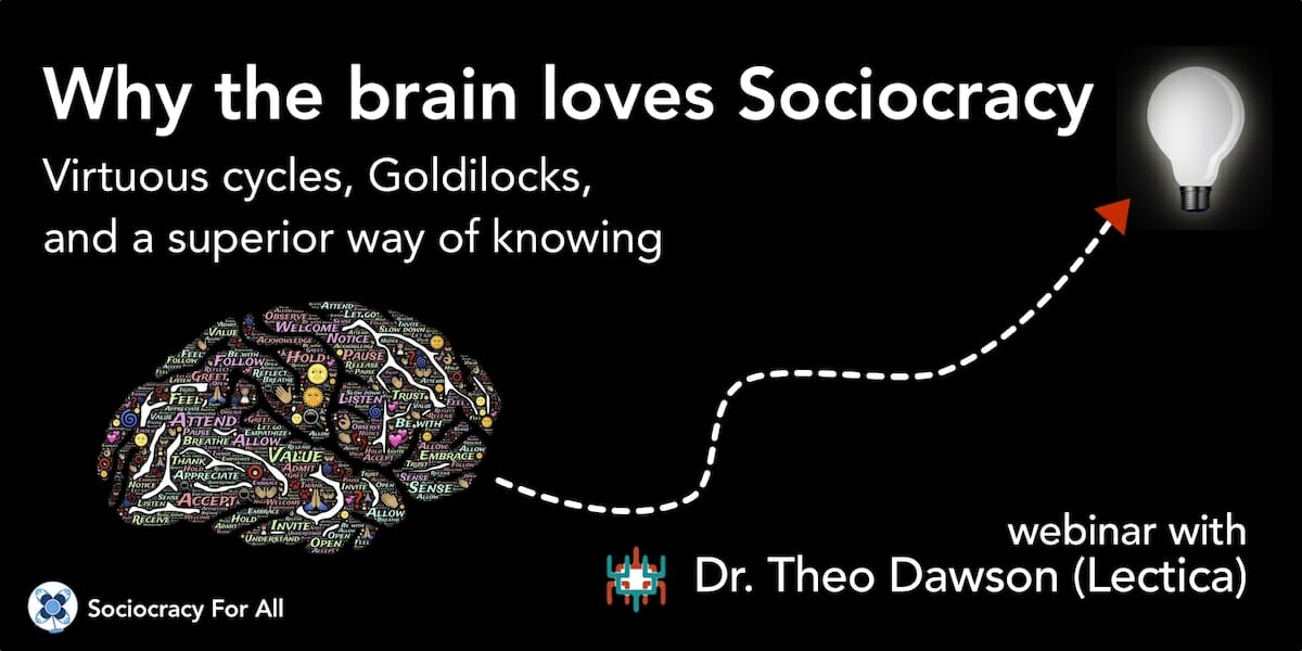 Sociocracy and the brain