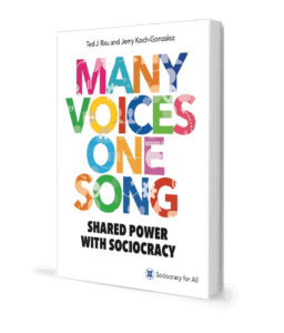 MVOS cover 1 - sociocracy for activists - Sociocracy For All